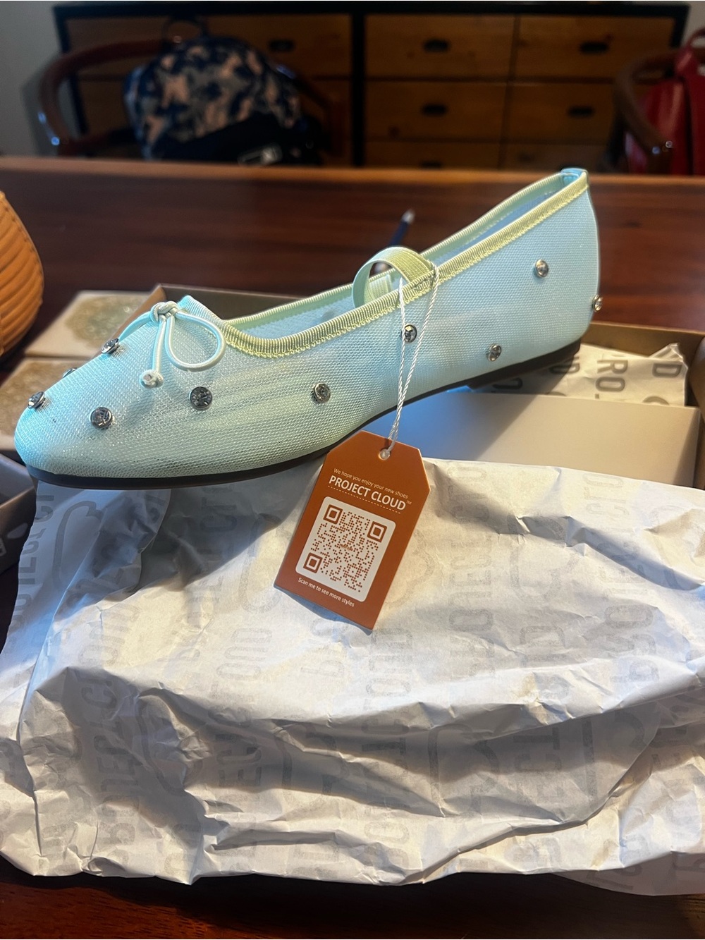 Mint mesh Embellished Ballet Flat
